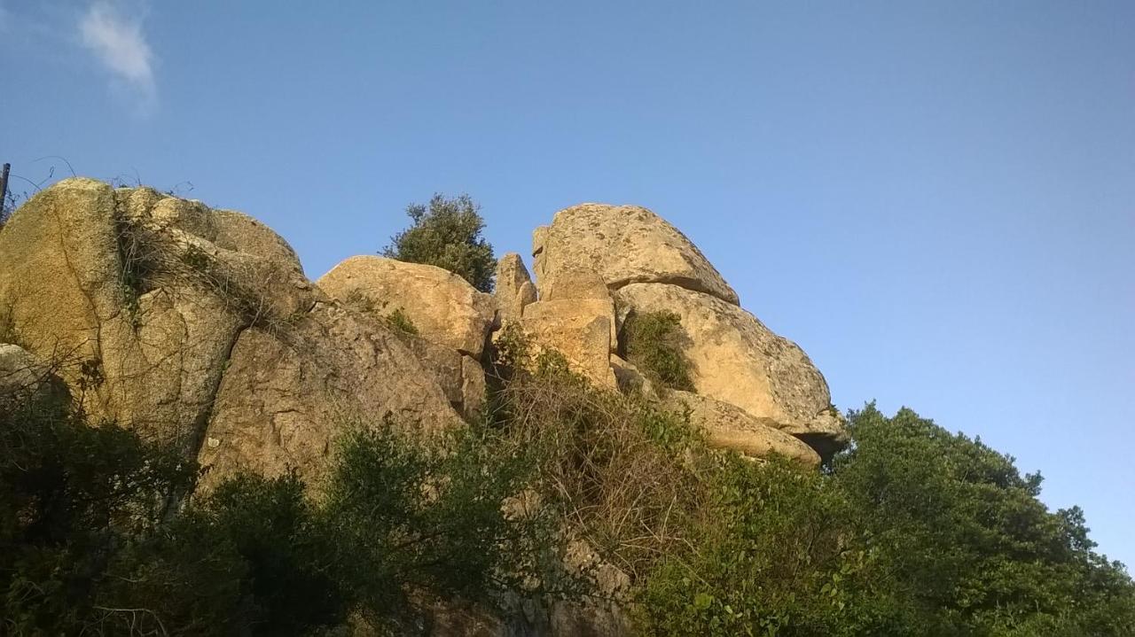 Il Nuraghe Frühstückspension