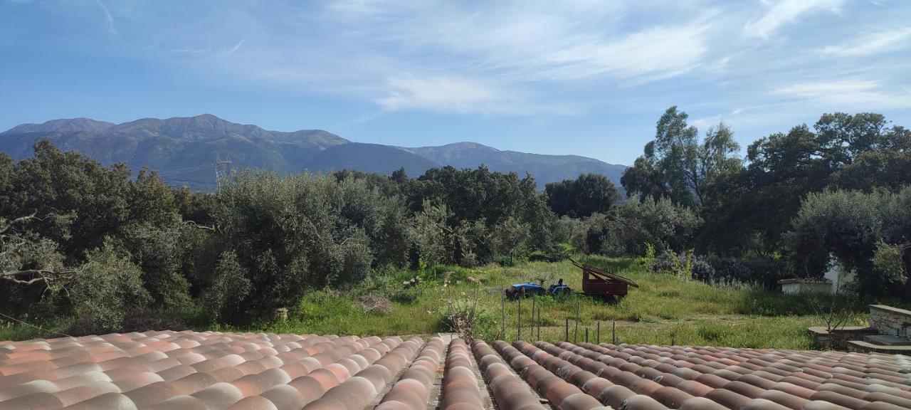 Il Nuraghe Bed & Breakfast 2*