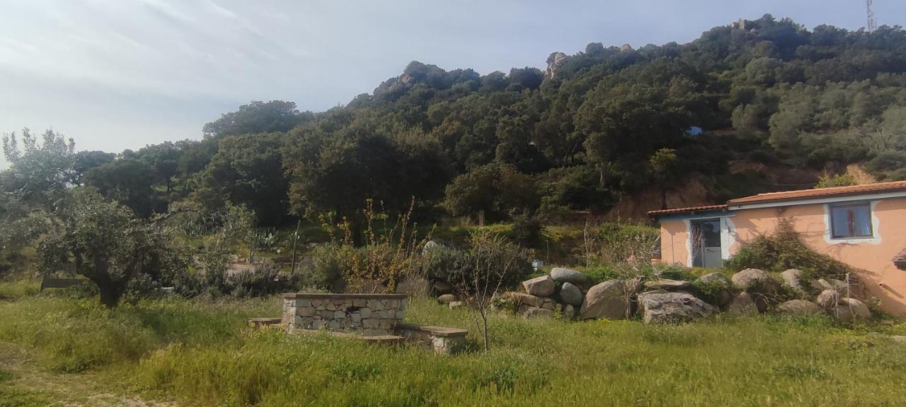 Frühstückspension Il Nuraghe 2*