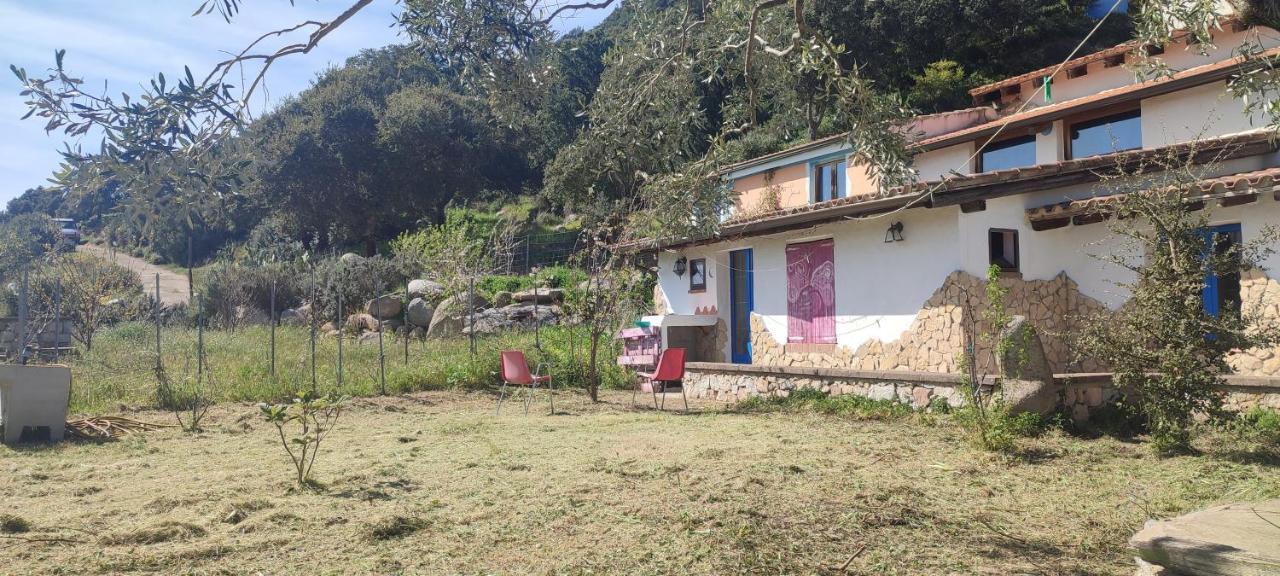 Il Nuraghe Bed & Breakfast