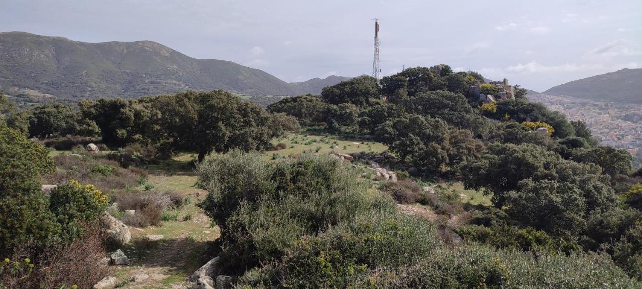 Il Nuraghe Arbus