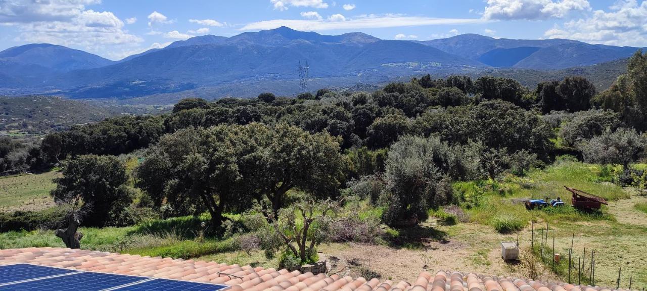 Il Nuraghe Bed & Breakfast
