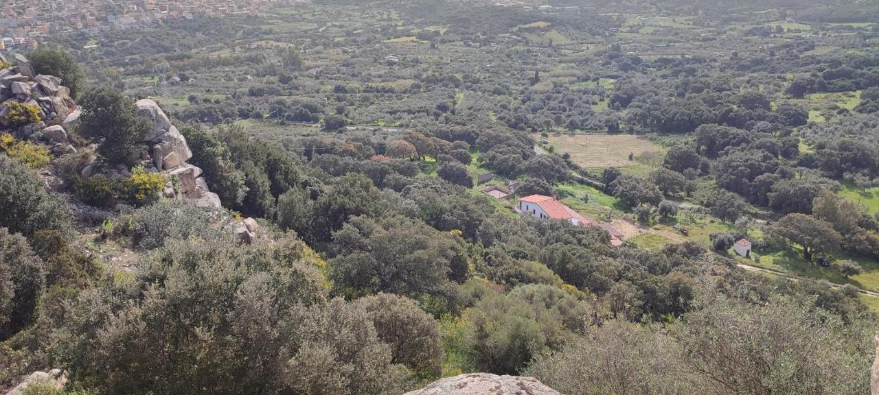 Il Nuraghe 2*