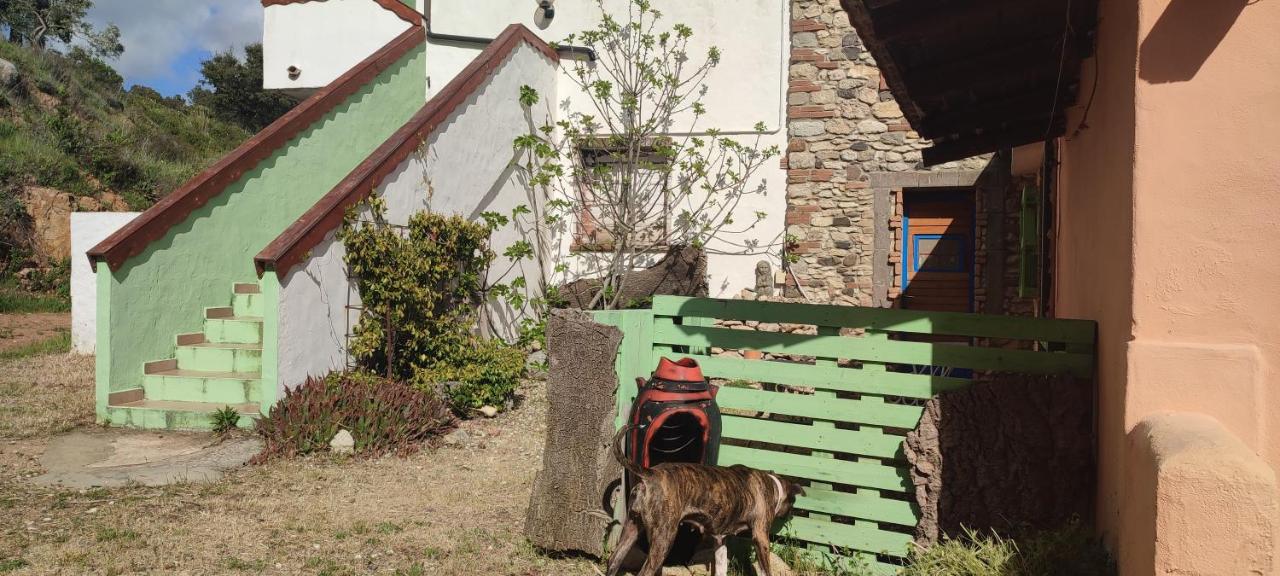 Bed & Breakfast Il Nuraghe Arbus