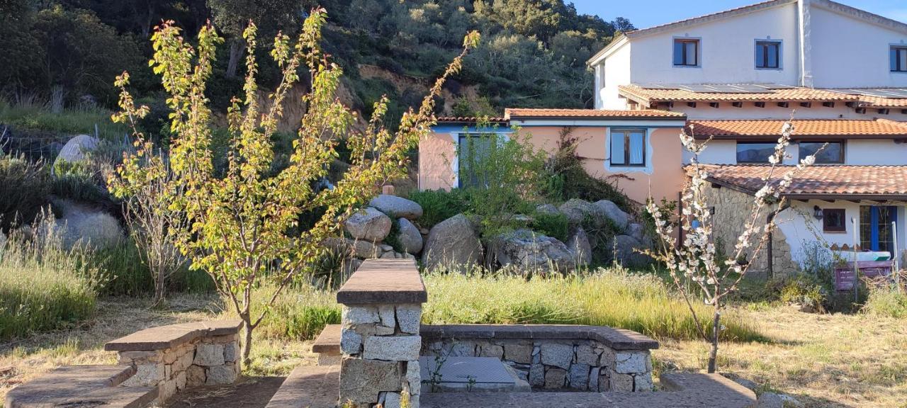 Il Nuraghe Bed & Breakfast Arbus