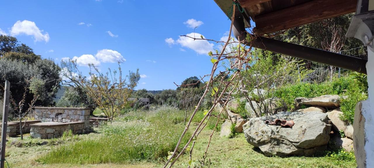 Il Nuraghe 2* Arbus