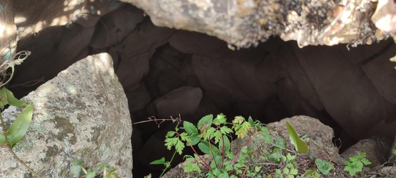 Il Nuraghe Frühstückspension